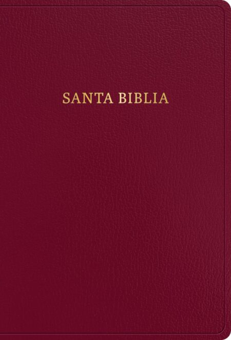 Biblia RVR 1960 Letra Súper Gigante Borgoña Símil Piel