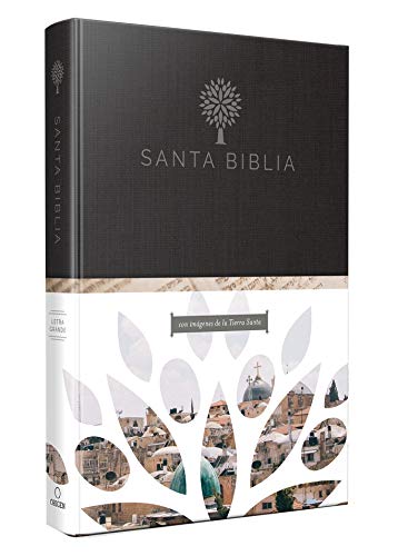 Biblia RVR 1960 Tamaño Grande Letra Grande Tapa Dura