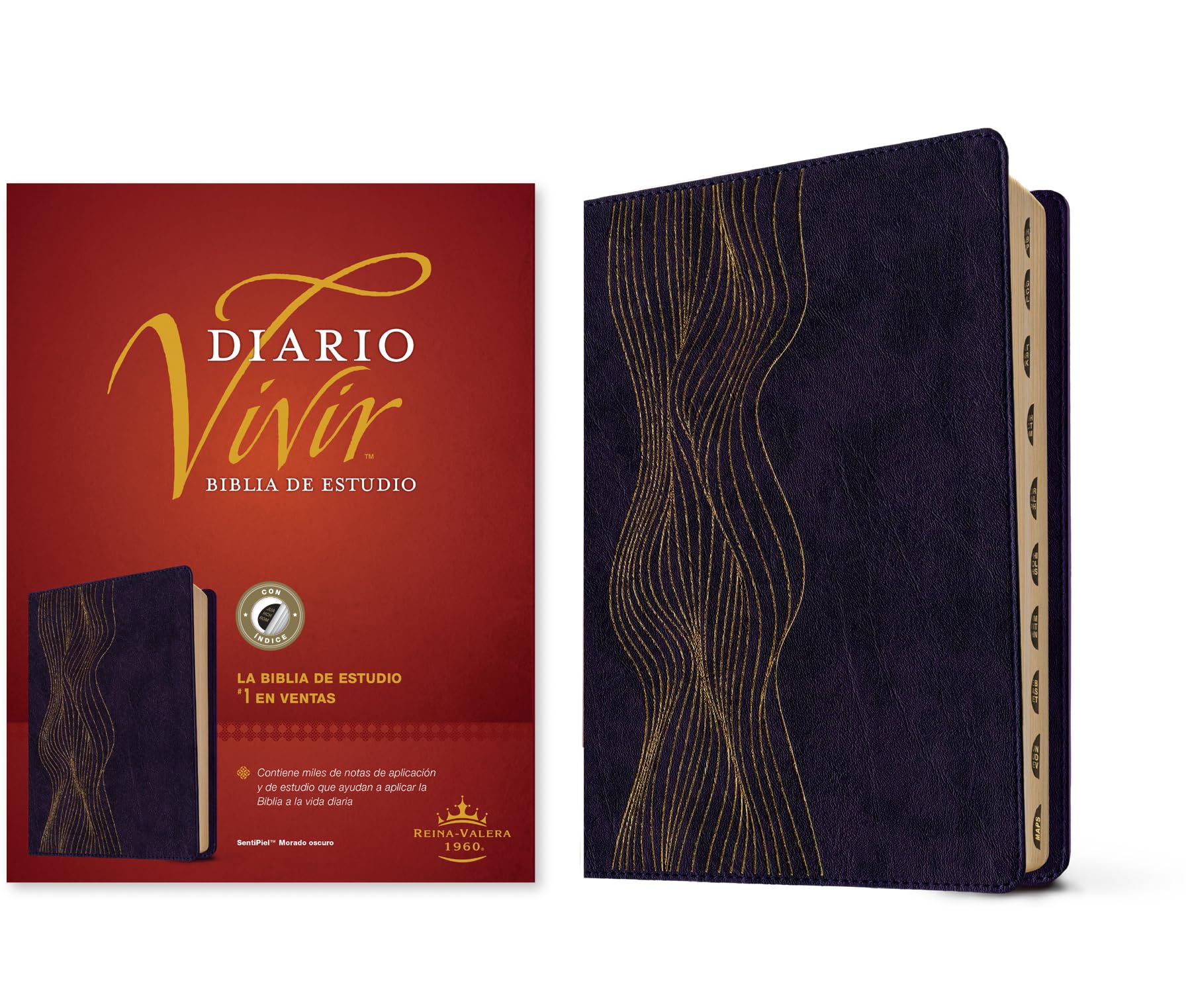 Biblia RVR 1960 de Estudio del Diario Vivir Símil Piel Morado Oscuro Índice Letra Roja