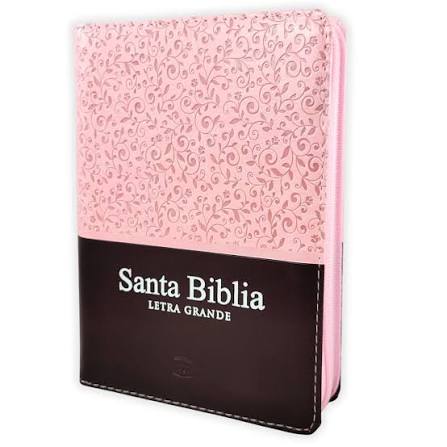 Biblia RVR 1960 Tapa PU Rosa Marrón Quinceañera