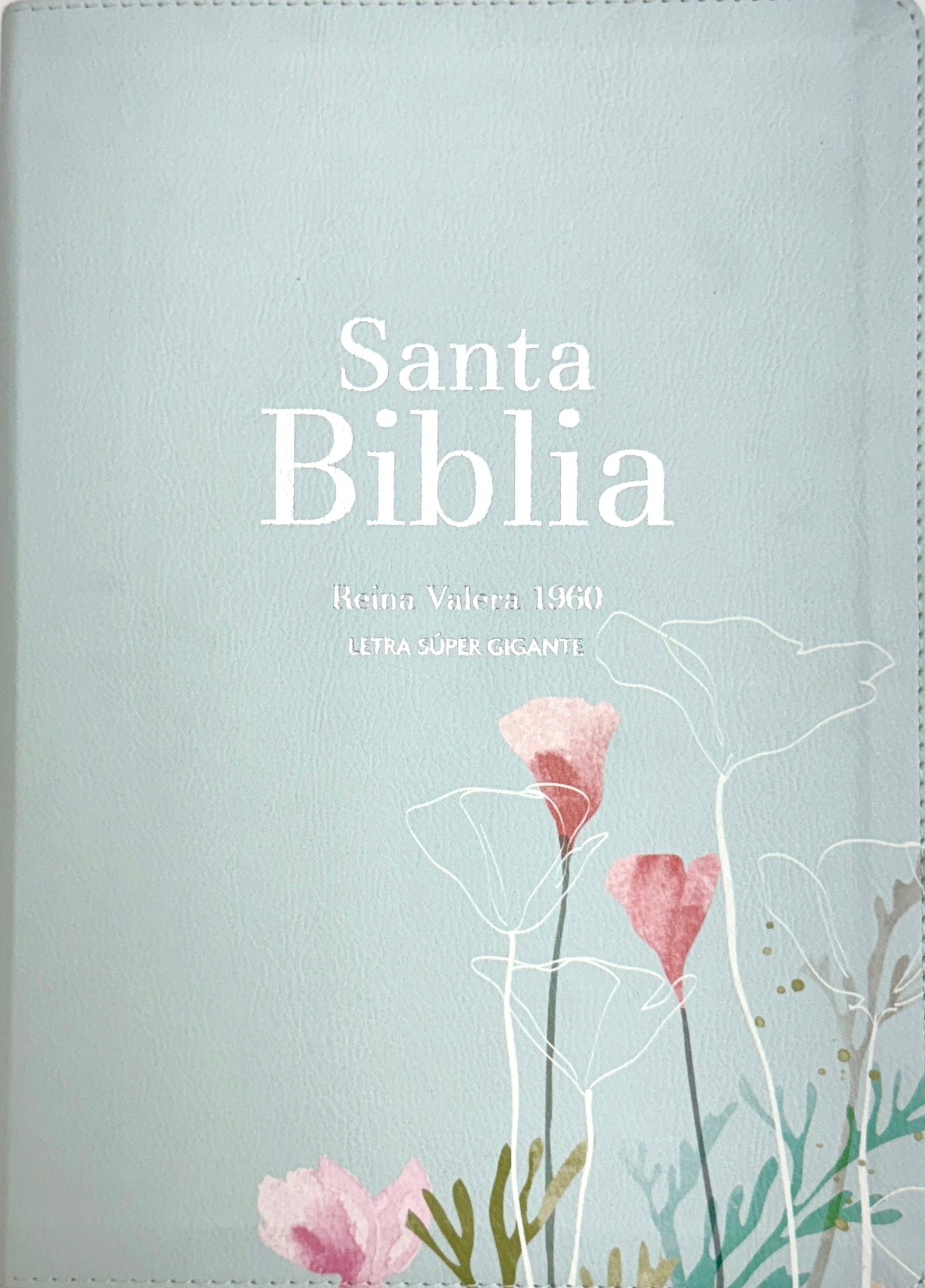 Biblia RVR 1960 Letra Grande Tamaño Manual Símil Piel Menta Fresca