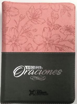Biblia /RVR056cZLG/ Rosado Gris Canto Plateado Oraciones