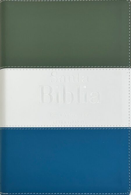 Biblia RVR 1960 Letra Grande Tamaño Manual Tricolor Gris Crema Azul con Cierre e Índice